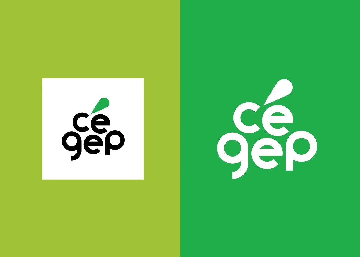 Nouveau mandat de la Fédération des cégeps