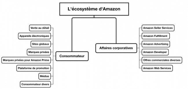 ecosyst&egrave;me amazon
