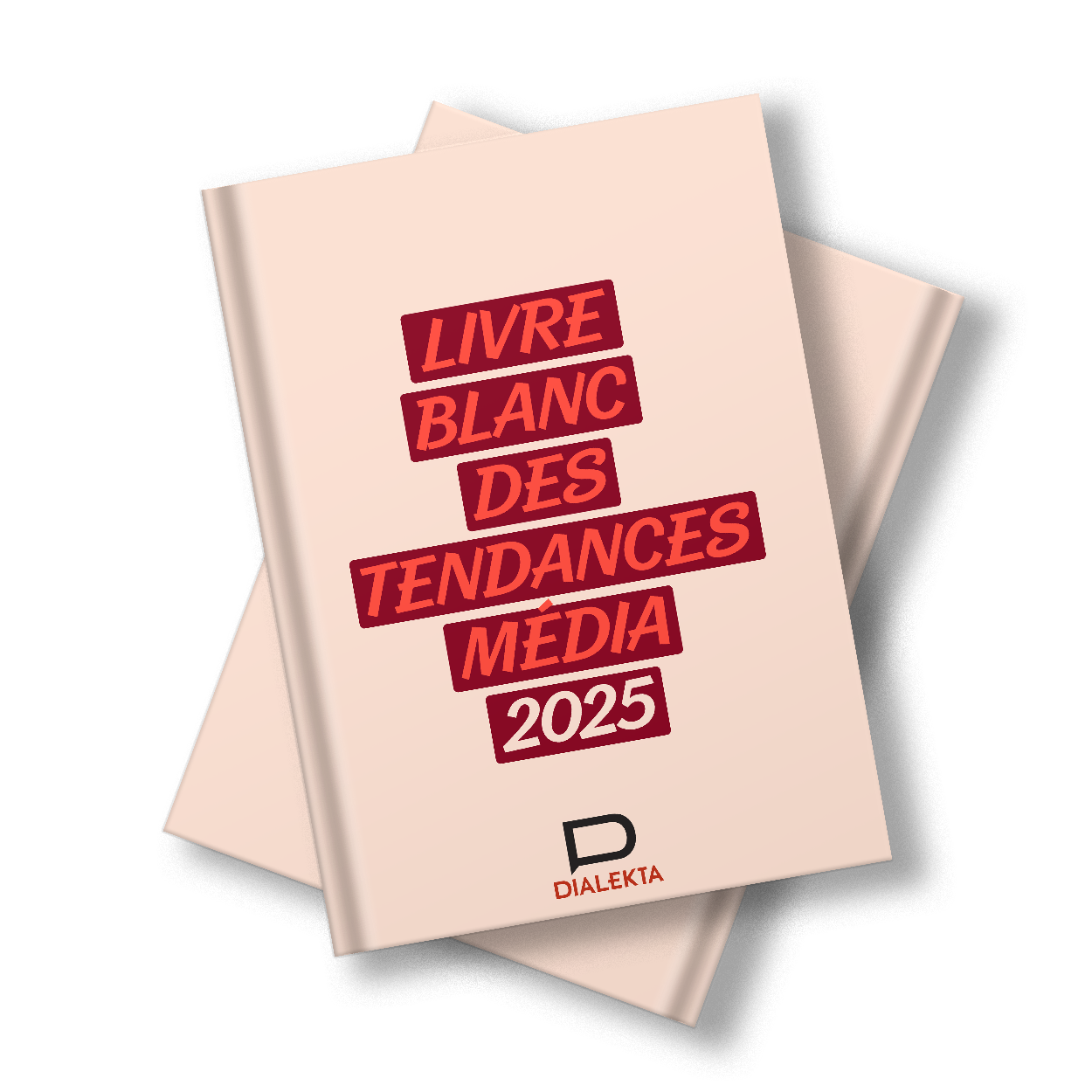 Livre blanc des <em>tendances média</em> 2025