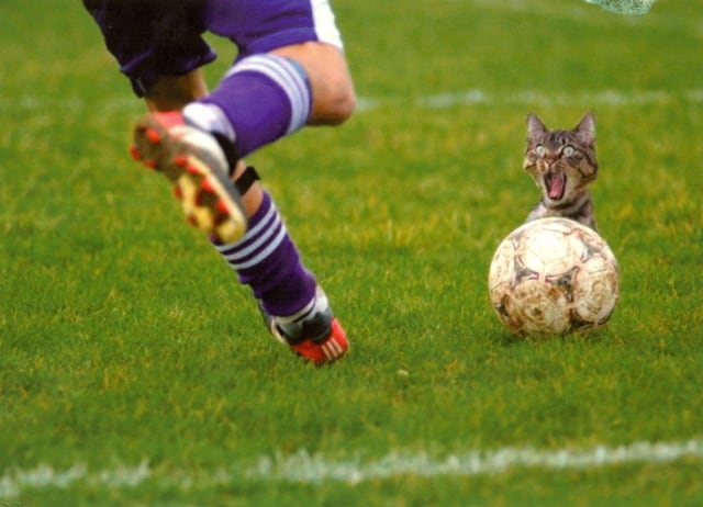 Hello World ! Bienvenue au Blog de Dialekta